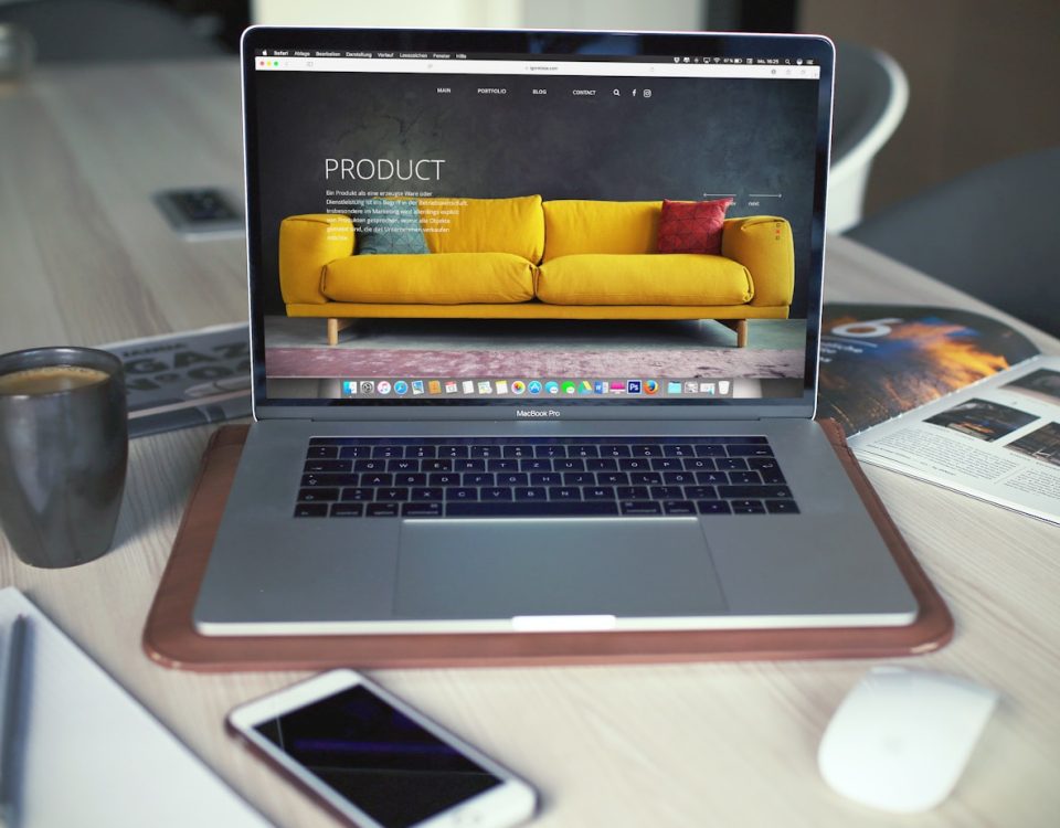 profesional website